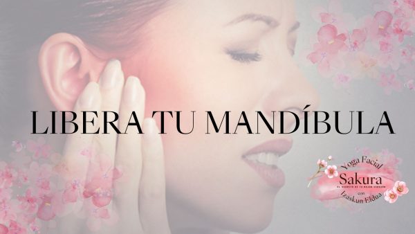 PROGRAMA LIBERA TU MANDÍBULA